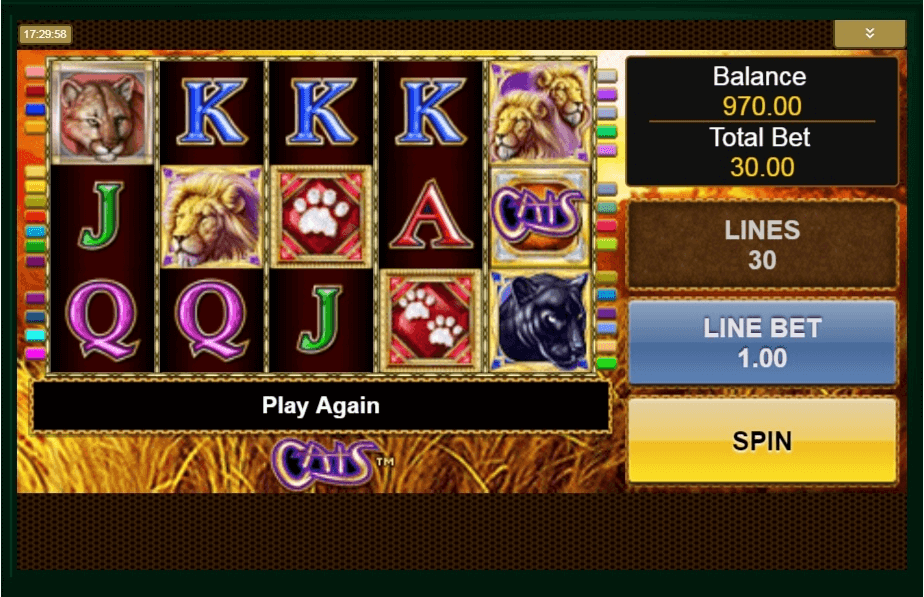 Cats slot play free