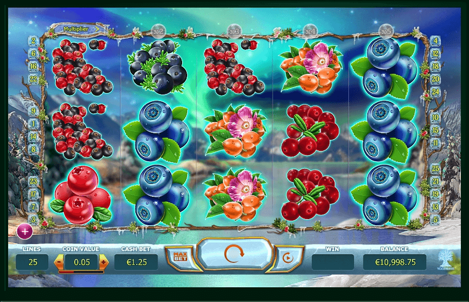 Winterberries slot play free