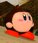 Kirbydk.png