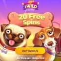 iWild Casino 20 no deposit free spins + €/$3500 welcome bonus + 270 free spins
