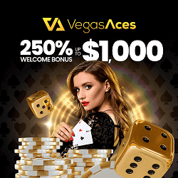 Vegas Aces Casino WB banner