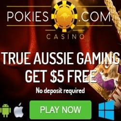 Pokies Casino banner