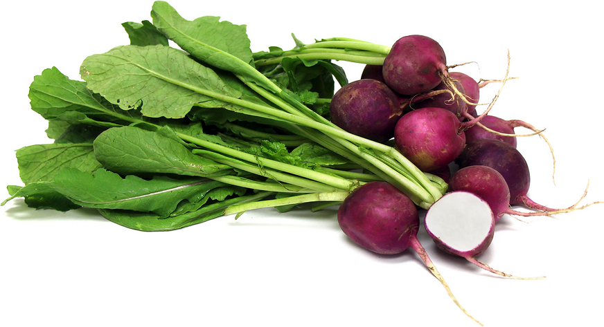 Amethyst Radish picture