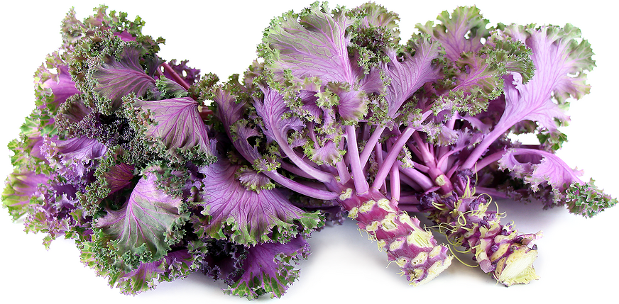 Chidori Kale picture