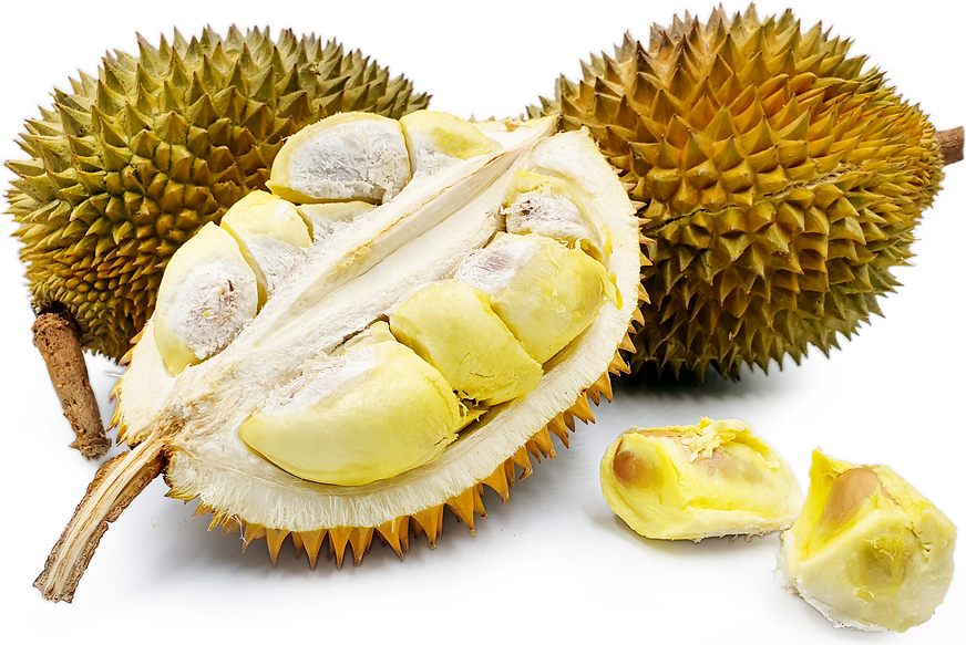 Malika Durian picture