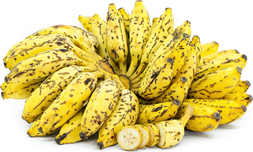 Chini Champa Bananas picture