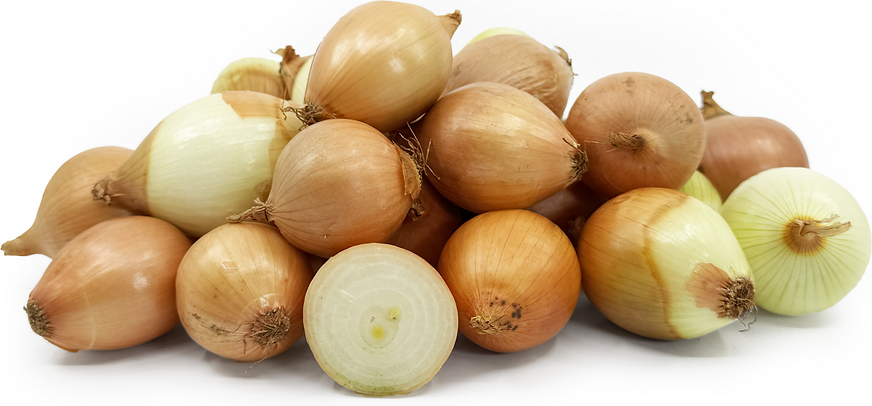 Pickling Onions picture