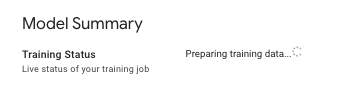 Preparing training data message in the Model Summary section