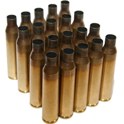 Ammunition & Reloading