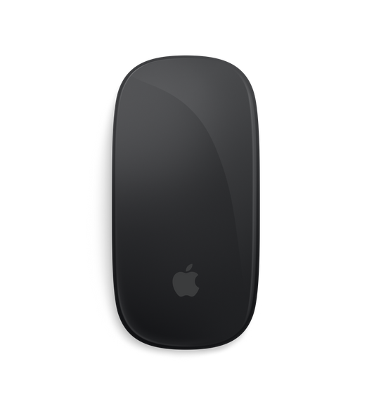 Magic Mouse, black multi-touch surface, silver aluminum body