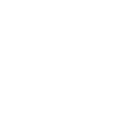 500px icon