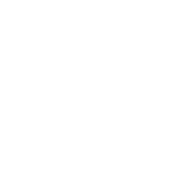 virus icon