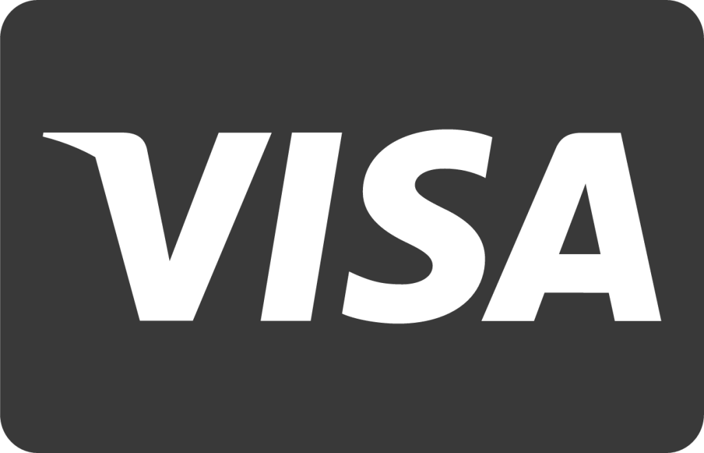 Visa icon