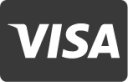 Visa icon