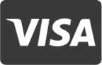 Visa icon