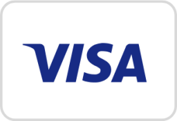 visa icon