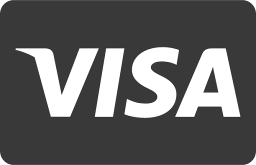 Visa icon