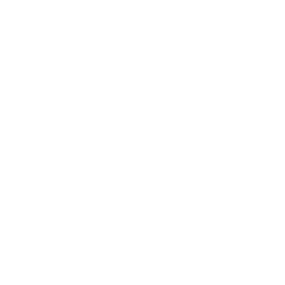 vk icon