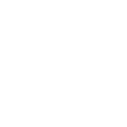 vk icon