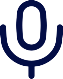 voice icon