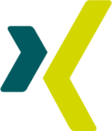 Xing icon