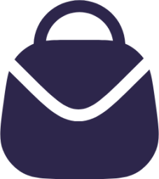 bag 2 icon