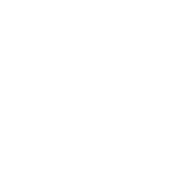 beta icon