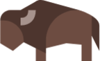 bison icon