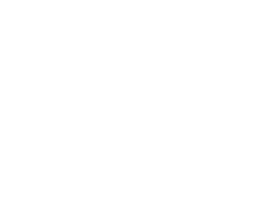 bot icon