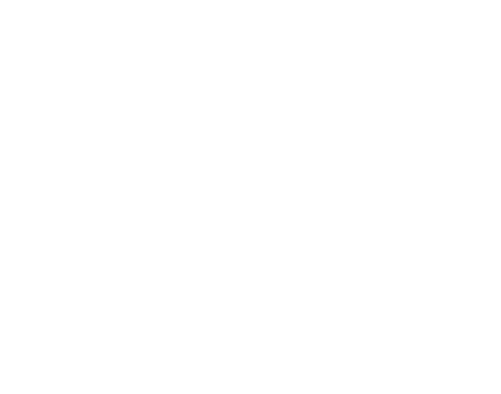 bot icon