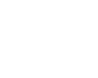 bot icon