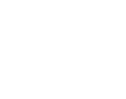 bot icon