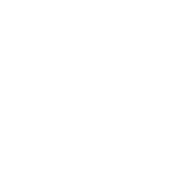 bug icon