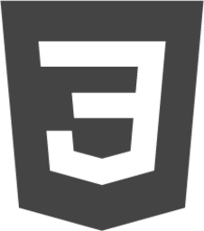 css3 icon