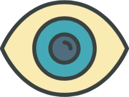 eye icon