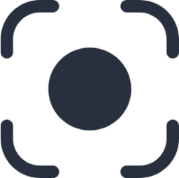 focus icon