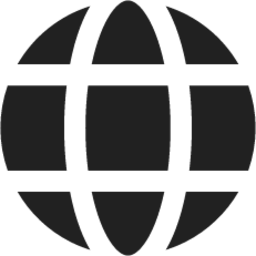 Globe icon