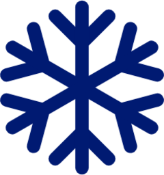 ice icon