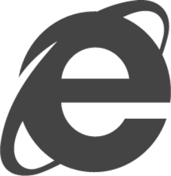 ie icon