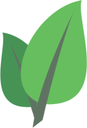 leaf icon