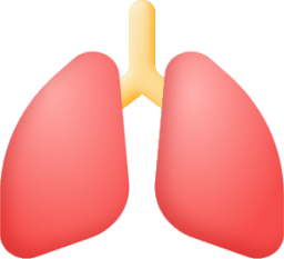 lungs icon