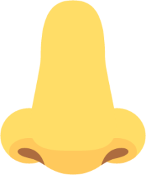 nose emoji