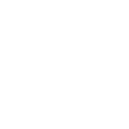 pill icon