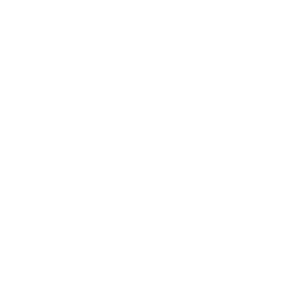 Slack icon