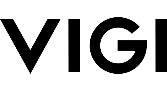 VIGI logo