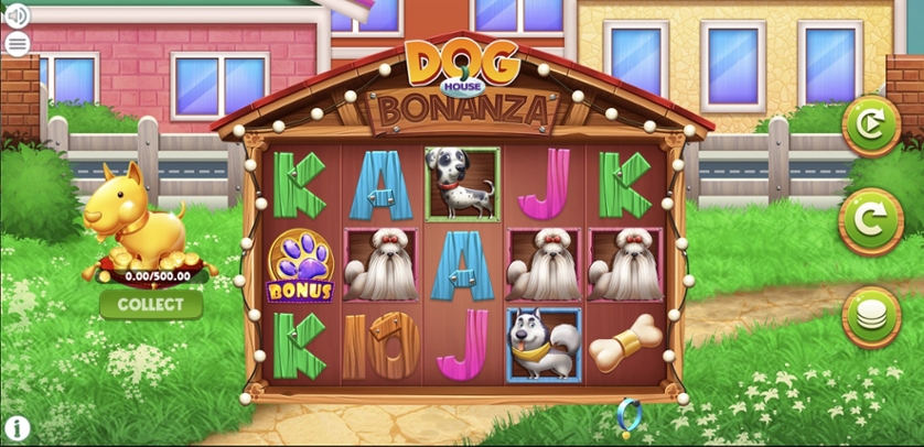 Dog House Bonanza.jpg