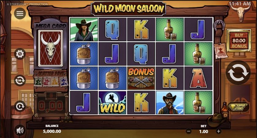 Wild Moon Saloon SC.jpg