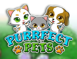 Purrfect Pets