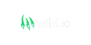 Wild.io Casino