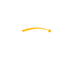 Netwin Casino Logo